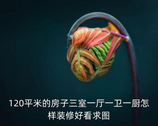 120平米的房子三室一廳一衛(wèi)一廚怎樣裝修好看求圖