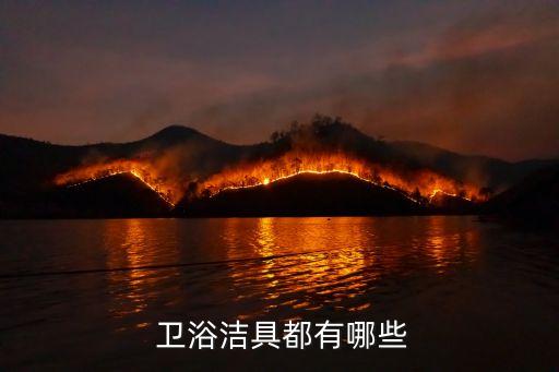  衛(wèi)浴潔具都有哪些