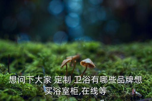 想問下大家 定制 衛(wèi)浴有哪些品牌想買浴室柜,在線等