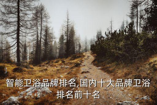 煙臺智能衛(wèi)浴品牌排名,國內(nèi)十大品牌衛(wèi)浴排名前十名