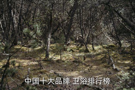 中國(guó)十大品牌 衛(wèi)浴排行榜