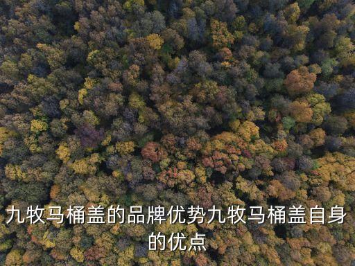 九牧衛(wèi)浴沖水箱包裝圖片