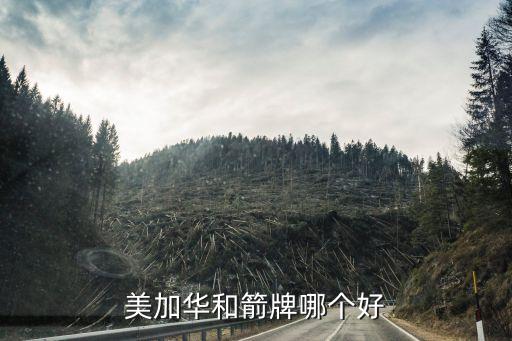美加華和箭牌哪個(gè)好
