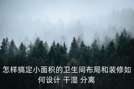 怎樣搞定小面積的衛(wèi)生間布局和裝修如何設計 干濕 分離