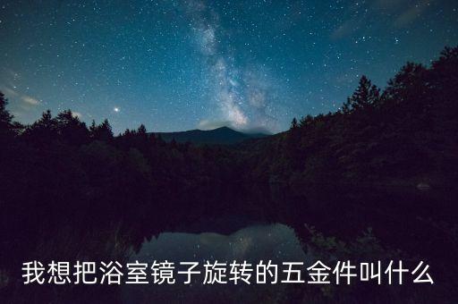 我想把浴室鏡子旋轉(zhuǎn)的五金件叫什么