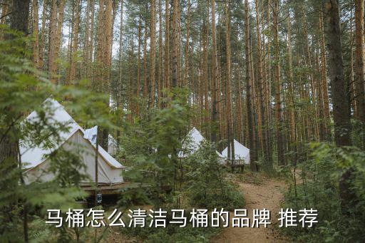 衛(wèi)浴清洗液推薦品牌有那些
