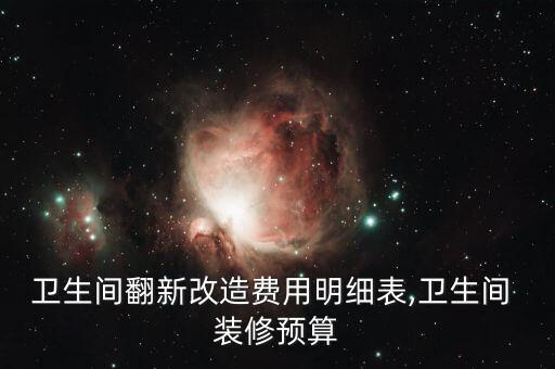 衛(wèi)生間翻新改造費(fèi)用明細(xì)表,衛(wèi)生間 裝修預(yù)算