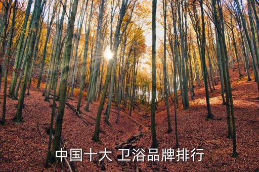 陶瓷衛(wèi)浴有哪些大品牌,廣東陶瓷衛(wèi)浴都有哪些品牌
