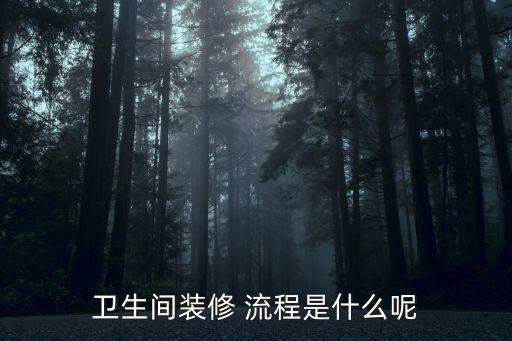 廚衛(wèi)衛(wèi)浴安裝流程圖片大全