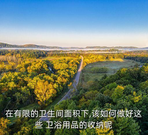 衛(wèi)浴柜吊柜靠墻嗎好嗎圖片