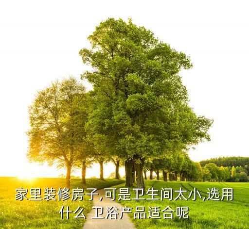 小戶型衛(wèi)浴推薦品牌有哪些