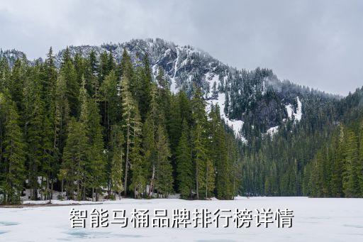 智能馬桶品牌排行榜詳情