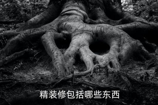  精裝修包括哪些東西