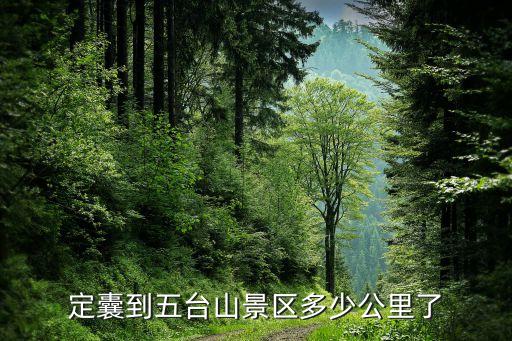 定囊到五臺山景區(qū)多少公里了