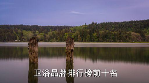  衛(wèi)浴品牌排行榜前十名