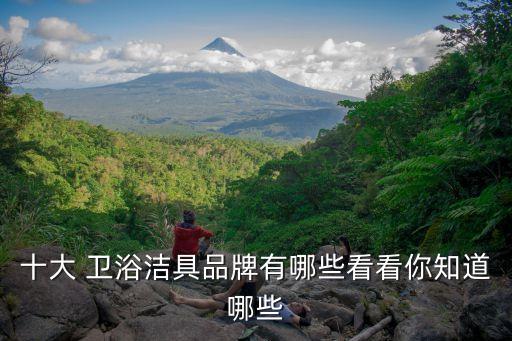 十大 衛(wèi)浴潔具品牌有哪些看看你知道哪些