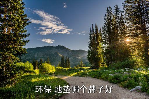 環(huán)保 地墊哪個牌子好