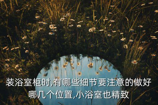 衛(wèi)浴安裝全景圖片高清