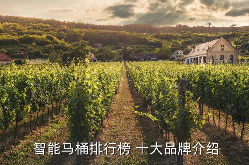 智能家居十大品牌衛(wèi)浴廠家,全球十大智能家居品牌排行榜最新