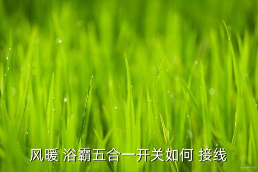 風(fēng)暖 浴霸五合一開關(guān)如何 接線