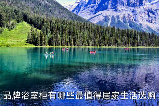 衛(wèi)浴品牌推選方案