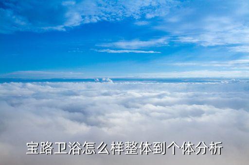 寶路衛(wèi)浴怎么樣整體到個體分析