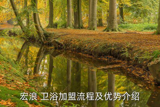 衛(wèi)浴店面業(yè)績描述范文圖片