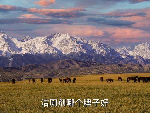 蘇州衛(wèi)浴排名前十的品牌,衛(wèi)浴排名前十的品牌有哪些 知乎