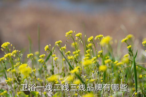  衛(wèi)浴一線二線三線品牌有哪些