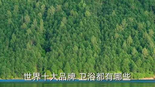 世界十大品牌 衛(wèi)浴都有哪些
