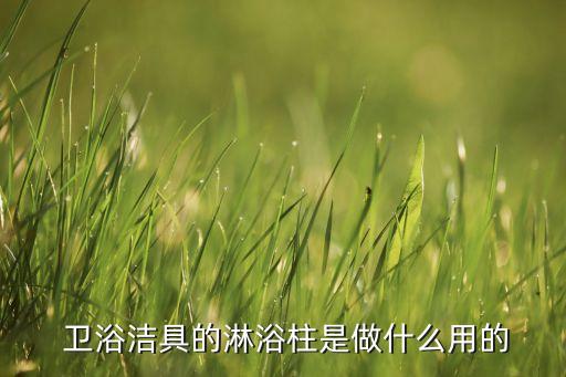  衛(wèi)浴潔具的淋浴柱是做什么用的