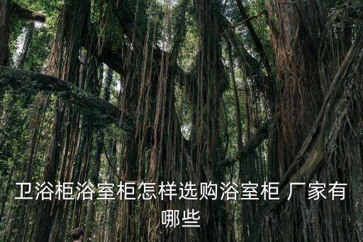 衛(wèi)浴柜浴室柜怎樣選購浴室柜 廠家有哪些