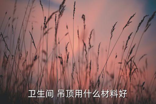 衛(wèi)生間 吊頂用什么材料好
