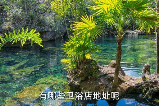 沁縣有哪些衛(wèi)浴店地址呢