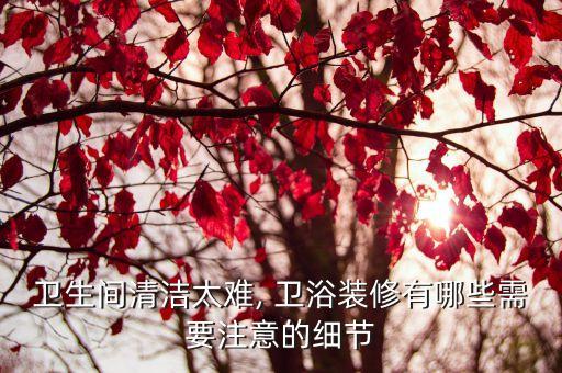 衛(wèi)生間清潔太難, 衛(wèi)浴裝修有哪些需要注意的細(xì)節(jié)