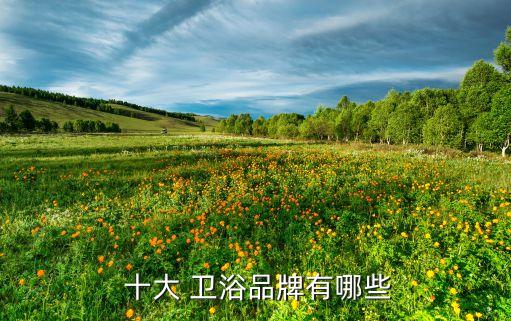  十大 衛(wèi)浴品牌有哪些