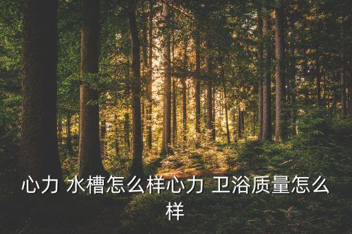 英爵衛(wèi)浴水槽圖片欣賞大全