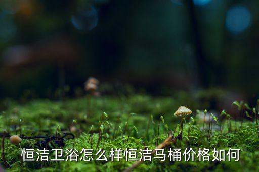  恒潔衛(wèi)浴怎么樣恒潔馬桶價格如何