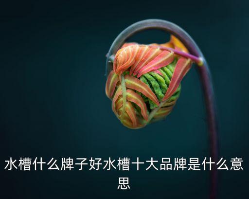 領(lǐng)航衛(wèi)浴品牌排名,國內(nèi)十大品牌衛(wèi)浴排名前十名
