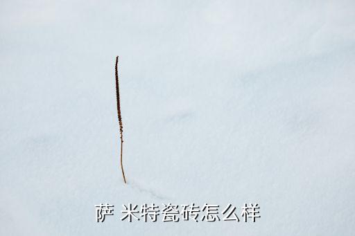 廣東薩米特衛(wèi)浴,薩米特衛(wèi)浴是幾線品牌定位