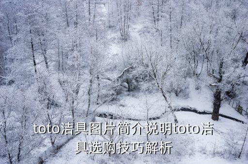toto潔具圖片簡(jiǎn)介說(shuō)明toto潔具選購(gòu)技巧解析
