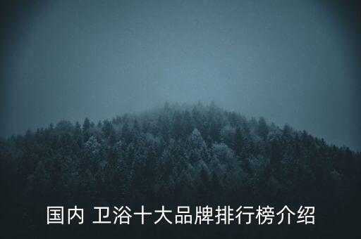 衛(wèi)浴品牌檔次劃分圖解