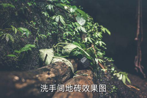 洗手間地磚效果圖