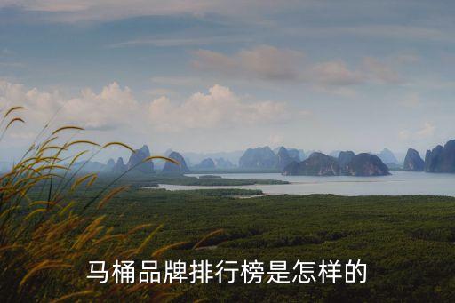 馬桶品牌排行榜是怎樣的