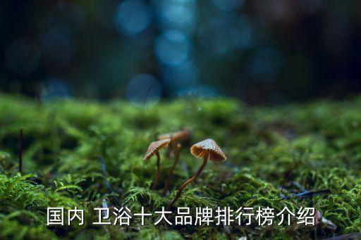 國內(nèi) 衛(wèi)浴十大品牌排行榜介紹