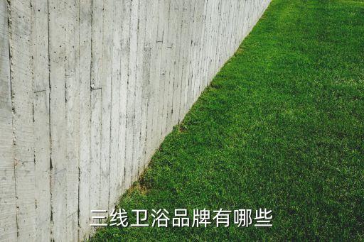 三線衛(wèi)浴品牌有哪些