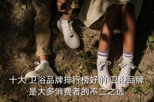 十大 衛(wèi)浴品牌排行榜好的 衛(wèi)浴品牌是大多消費(fèi)者的不二之選