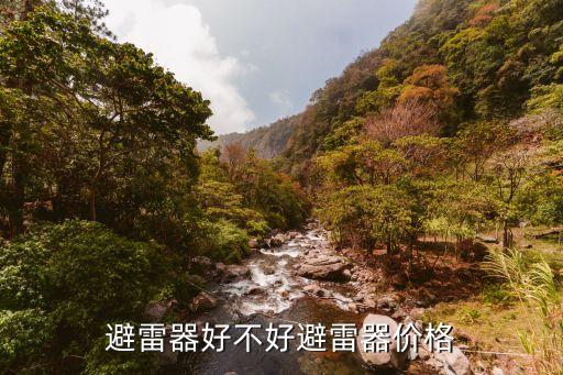 避雷器好不好避雷器價格
