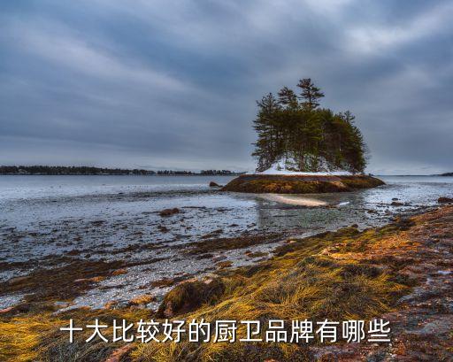 十大比較好的廚衛(wèi)品牌有哪些
