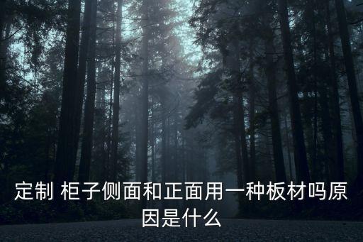 定制 柜子側(cè)面和正面用一種板材嗎原因是什么